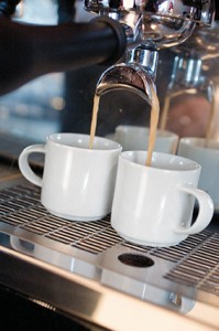 Savoy Dekor weiß uni Kaffee